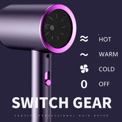 Hair Dryer Household Anion Hair Care Household Large Wind Small Power Quick Drying Portable Low Noise Hair Dryer